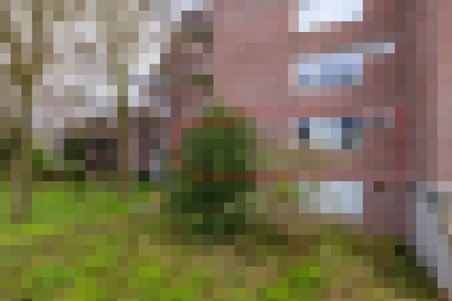 Houtsnijdershorst 141 Apeldoorn thumbnail 25
