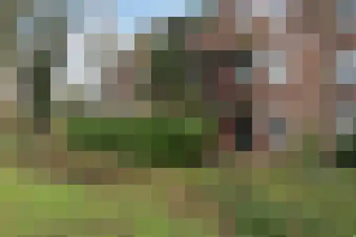 Houtsnijdershorst 151 Apeldoorn thumbnail 6