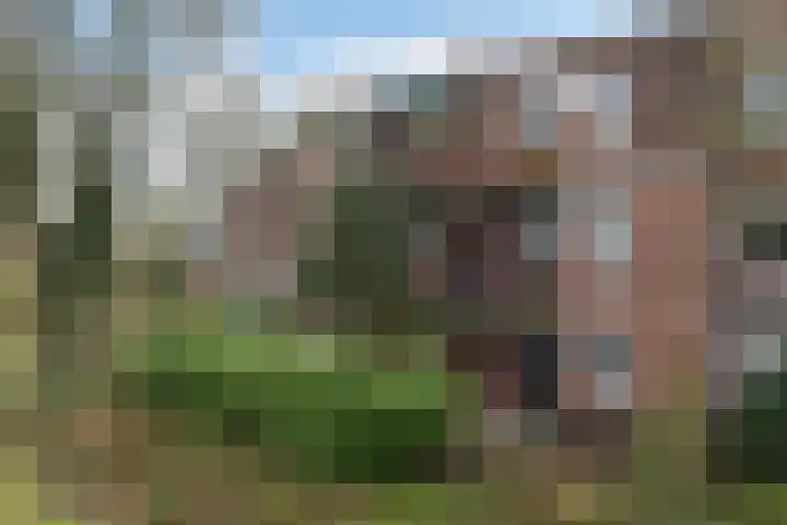 Houtsnijdershorst 151 Apeldoorn thumbnail 7