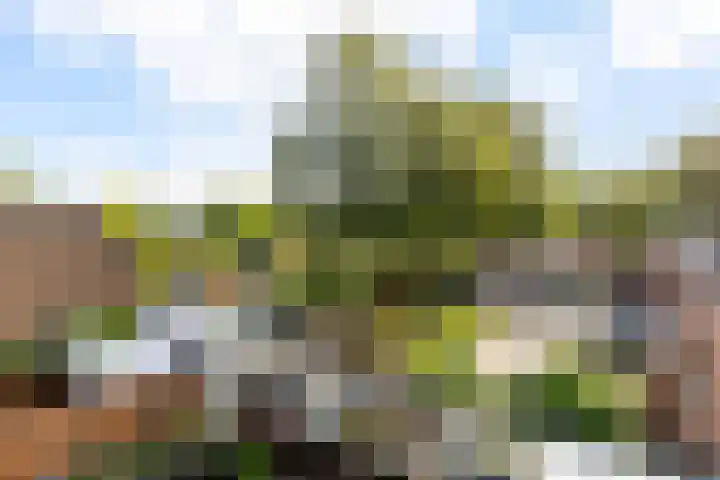 Houtsnijdershorst 3 Apeldoorn thumbnail 33