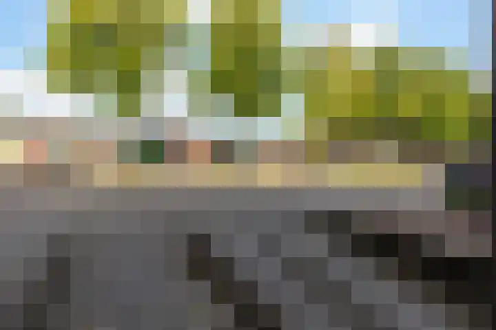 Houtsnijdershorst 3 Apeldoorn thumbnail 37
