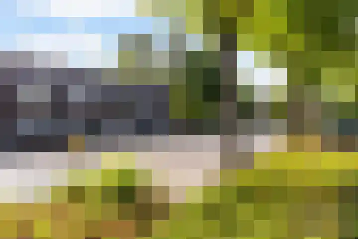 Houtsnijdershorst 3 Apeldoorn thumbnail 39
