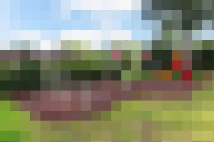 Houtsnijdershorst 3 Apeldoorn thumbnail 41