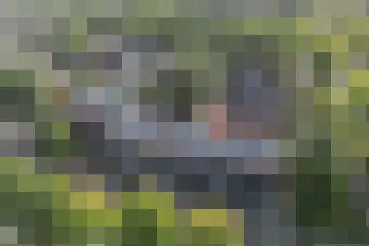 Houtsnijdershorst 3 Apeldoorn thumbnail 42