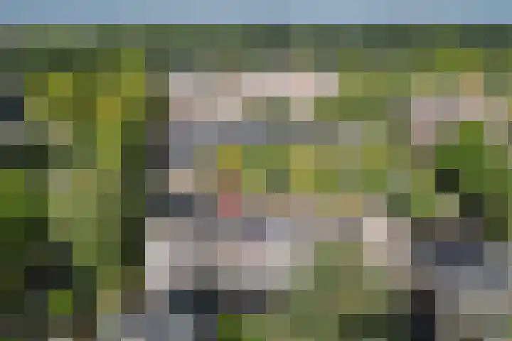 Houtsnijdershorst 3 Apeldoorn thumbnail 43