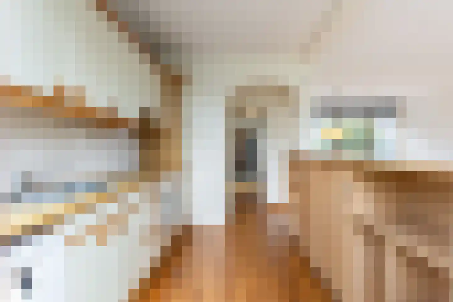 Houtsnijdershorst 301 Apeldoorn thumbnail 12
