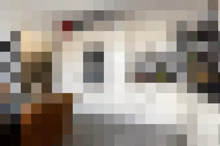 Houtsnijdershorst 419 Apeldoorn thumbnail 16