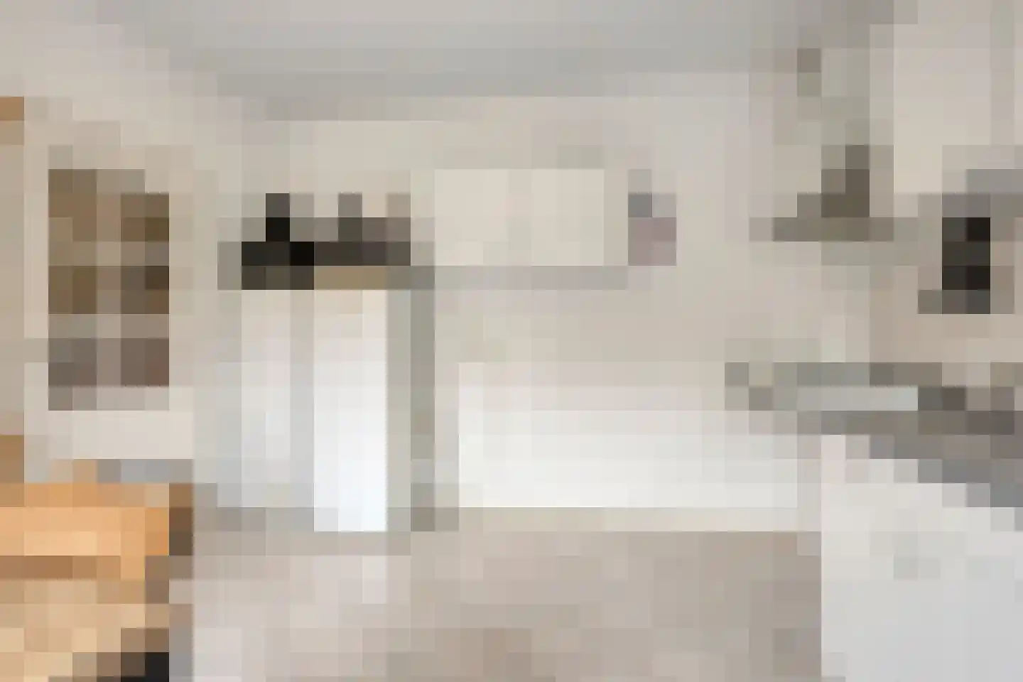 Houtsnijdershorst 437 Apeldoorn thumbnail 12