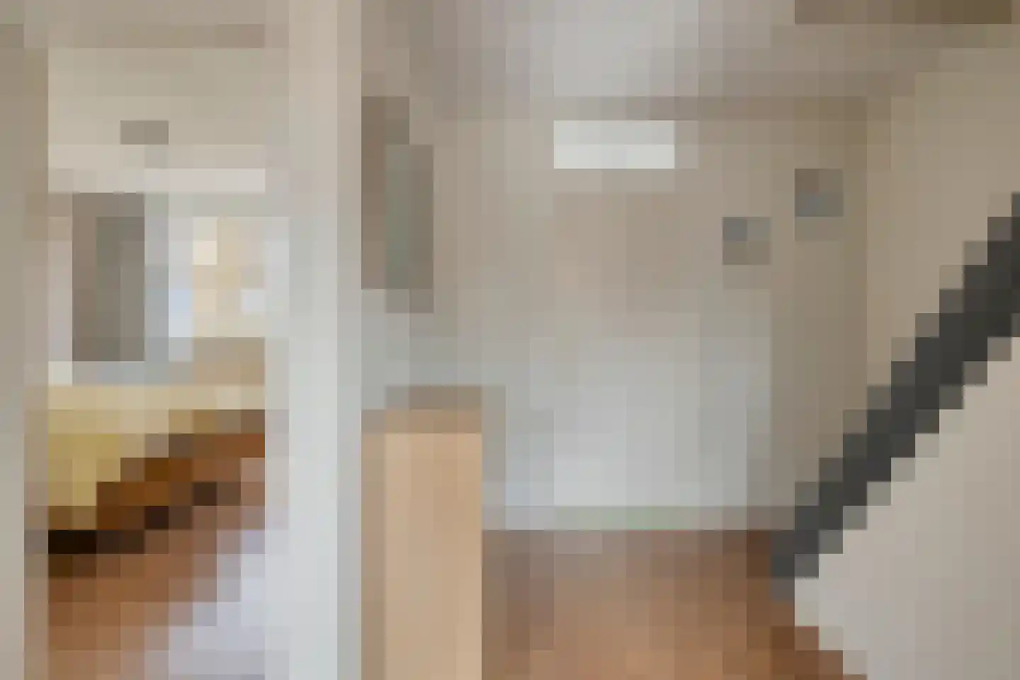 Houtsnijdershorst 437 Apeldoorn thumbnail 17