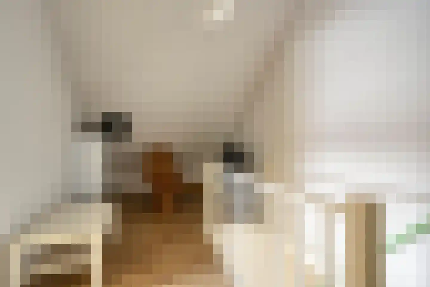 Houtsnijdershorst 437 Apeldoorn thumbnail 25