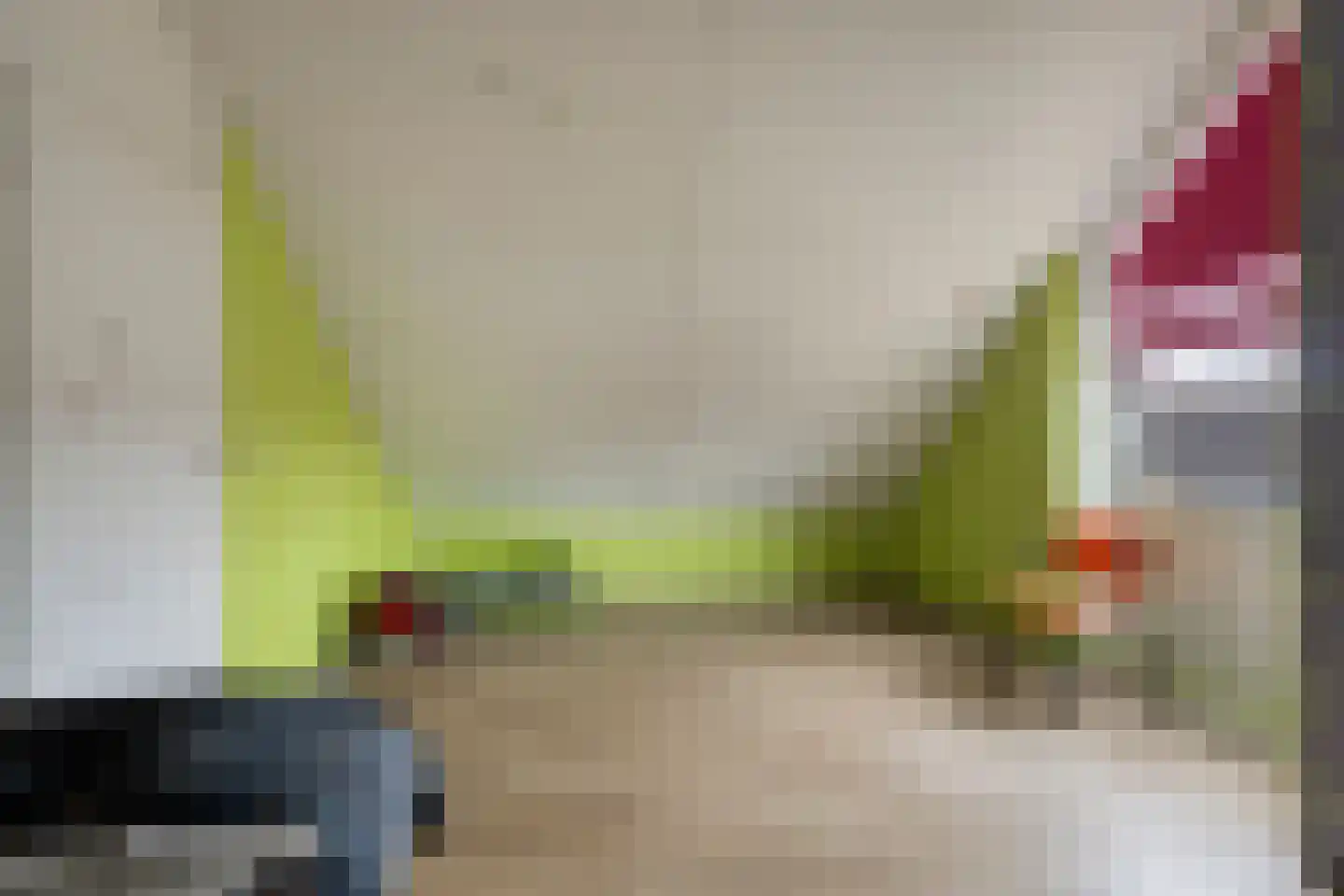 Houtsnijdershorst 437 Apeldoorn thumbnail 27