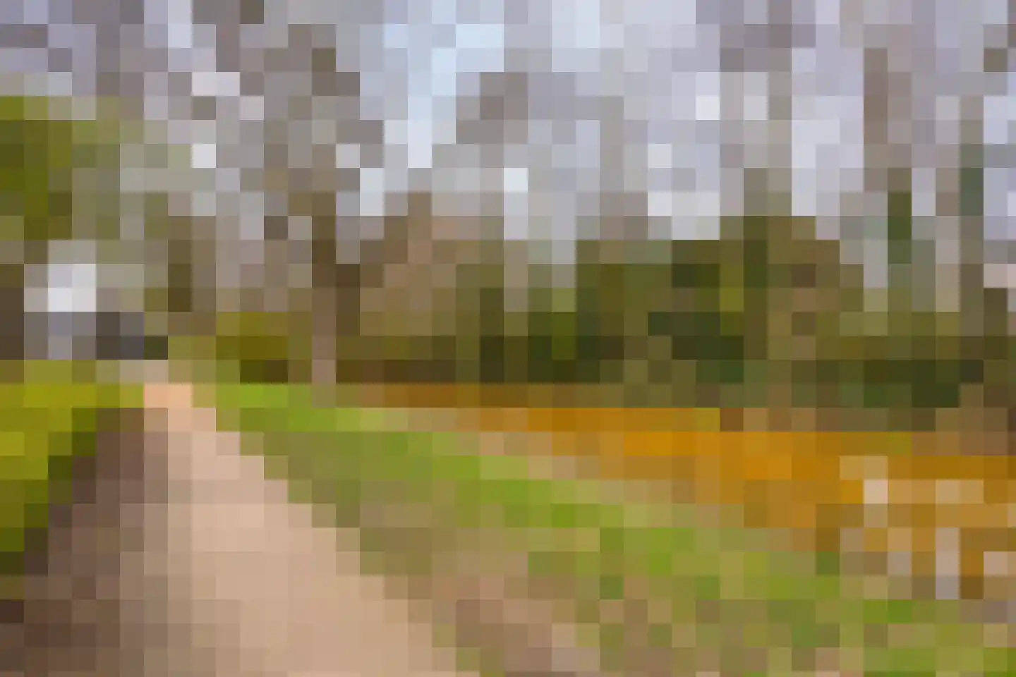 Houtsnijdershorst 437 Apeldoorn thumbnail 30