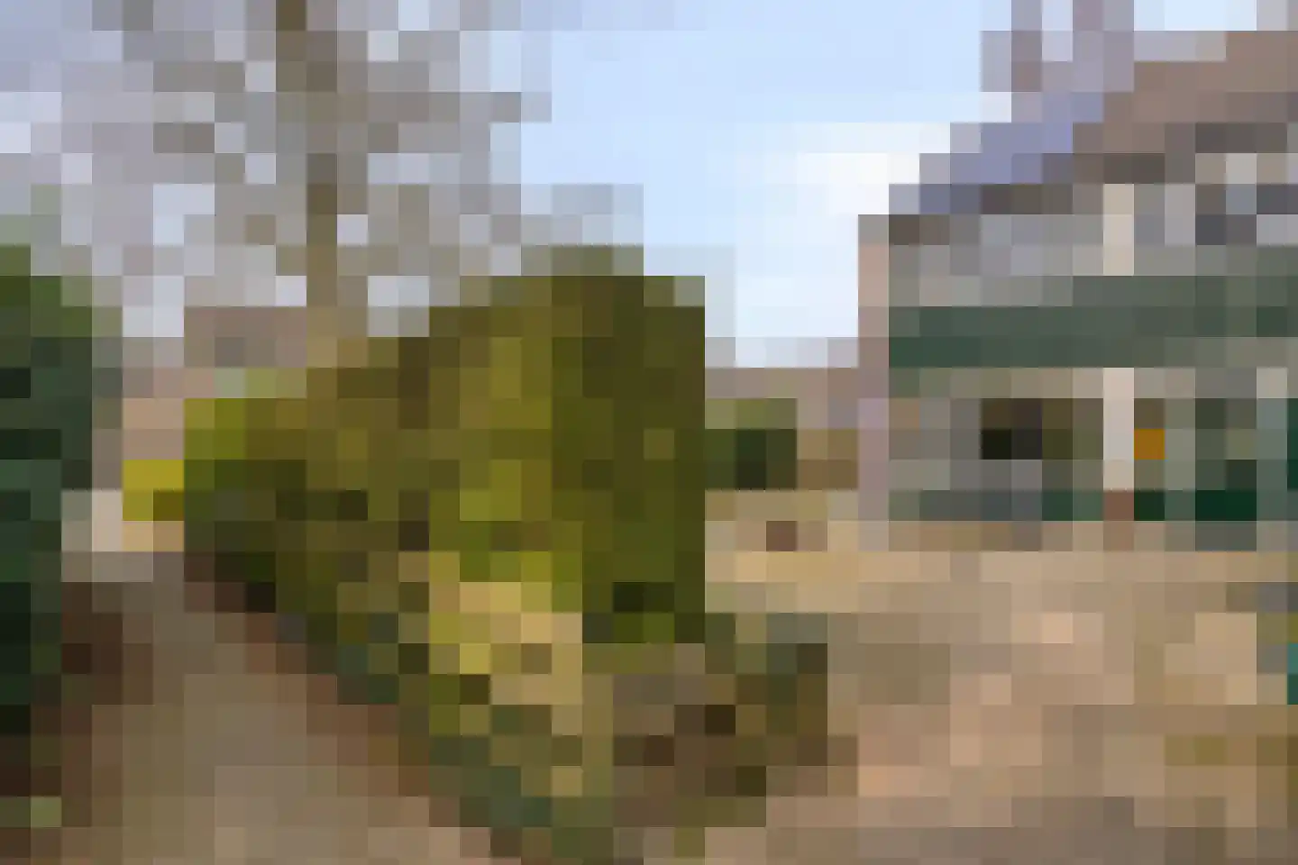 Houtsnijdershorst 437 Apeldoorn thumbnail 4