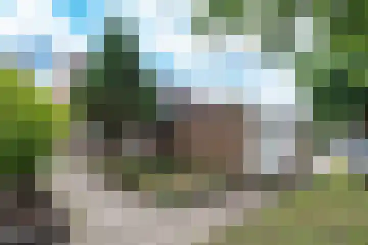 Houtsnijdershorst 507 Apeldoorn thumbnail 4