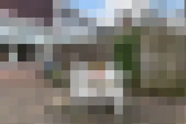 Houtsnijdershorst 509 Apeldoorn thumbnail 9