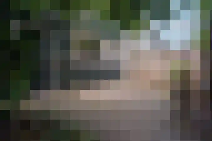 Houtsnijdershorst 616 Apeldoorn thumbnail 8