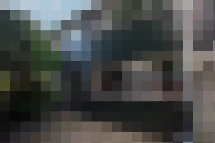 Houtsnijdershorst 616 Apeldoorn thumbnail 9