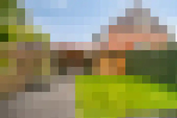 Houtsnijdershorst 813 Apeldoorn thumbnail 33