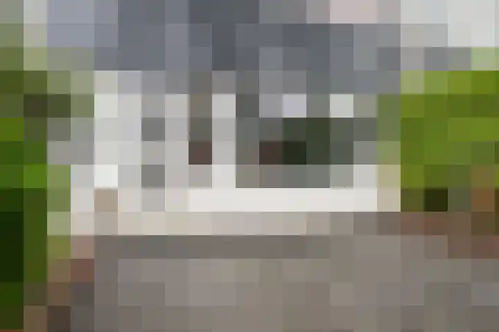 Houtsnijdershorst 813 Apeldoorn thumbnail 45