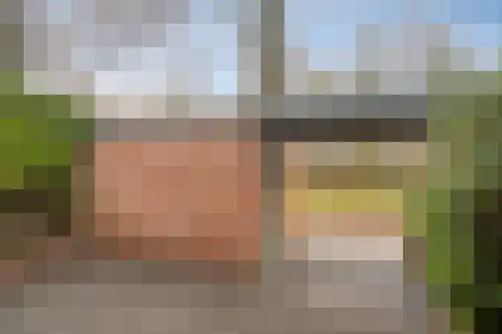 Houtsnijdershorst 813 Apeldoorn thumbnail 46