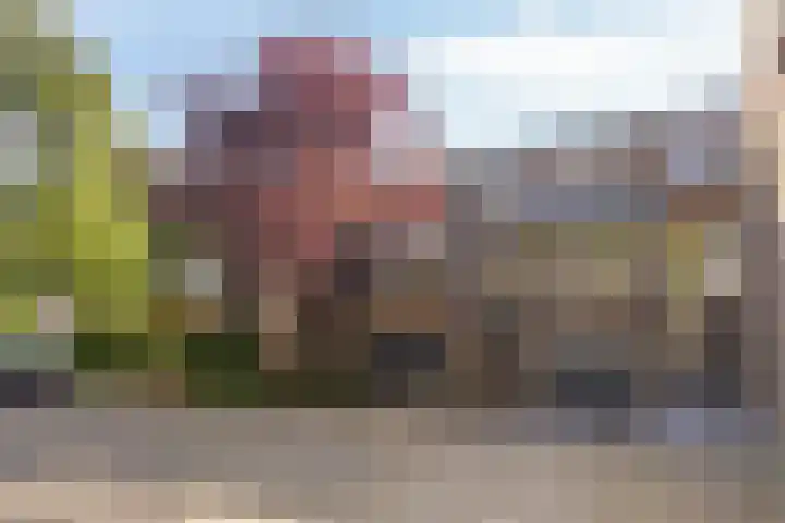 Houtsnijdershorst 9 Apeldoorn thumbnail 13