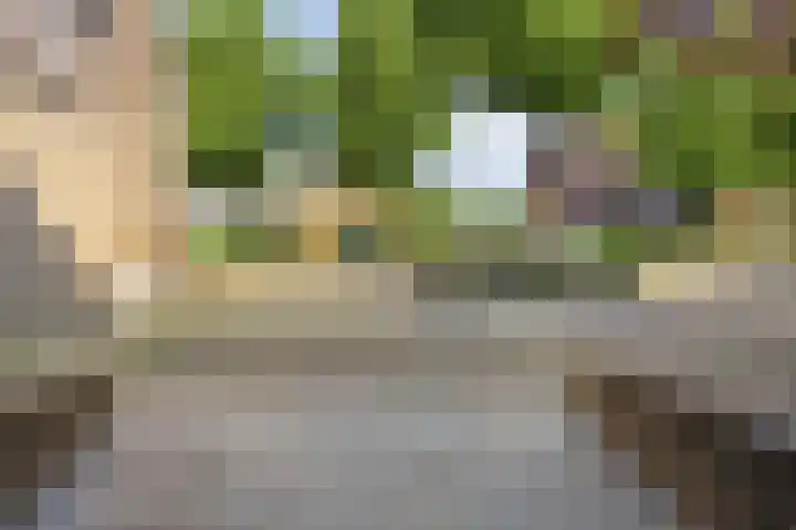 Houtsnijdershorst 9 Apeldoorn thumbnail 15
