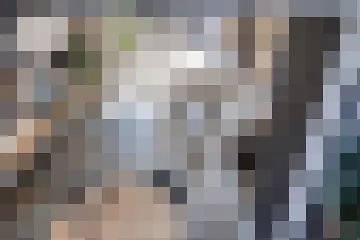 Houtsnijdershorst 9 Apeldoorn thumbnail 21