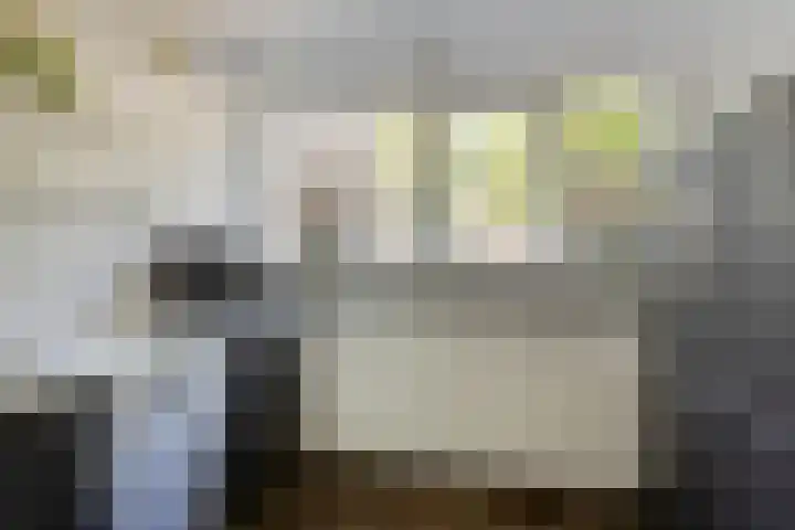 Houtsnijdershorst 9 Apeldoorn thumbnail 26