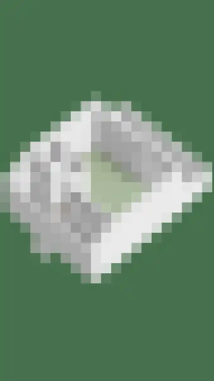 Houtsnijdershorst 9 Apeldoorn thumbnail 61
