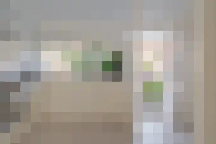 Houtsnijderstraat 10 Zwolle thumbnail 10