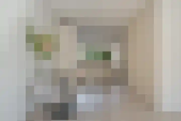 Houtsnijderstraat 10 Zwolle thumbnail 15