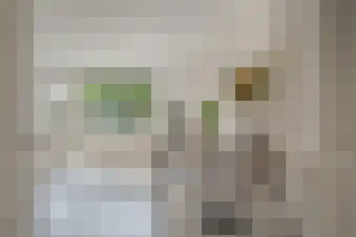 Houtsnijderstraat 10 Zwolle thumbnail 16