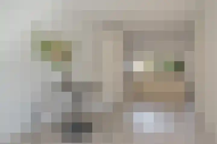 Houtsnijderstraat 10 Zwolle thumbnail 17