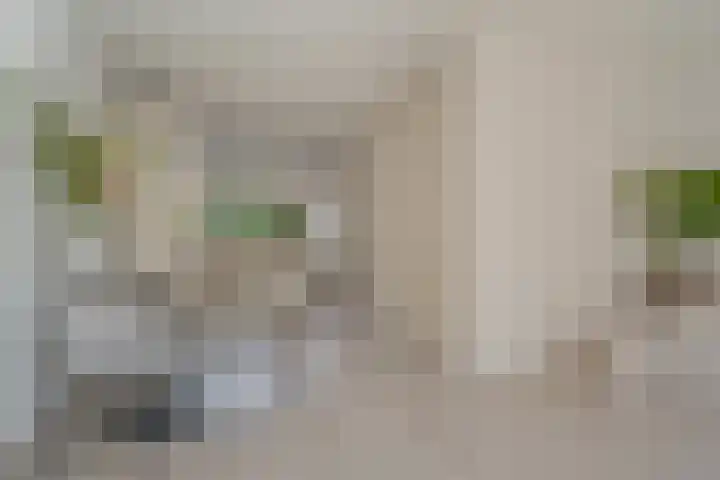 Houtsnijderstraat 10 Zwolle thumbnail 18