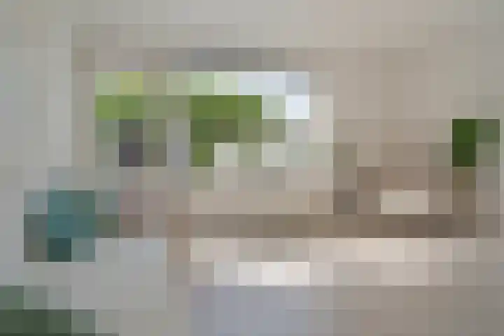 Houtsnijderstraat 10 Zwolle thumbnail 22