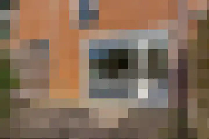 Houtsnijderstraat 10 Zwolle thumbnail 35