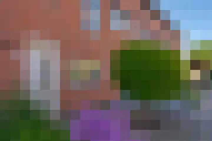 Houtsnijderstraat 10 Zwolle thumbnail 8