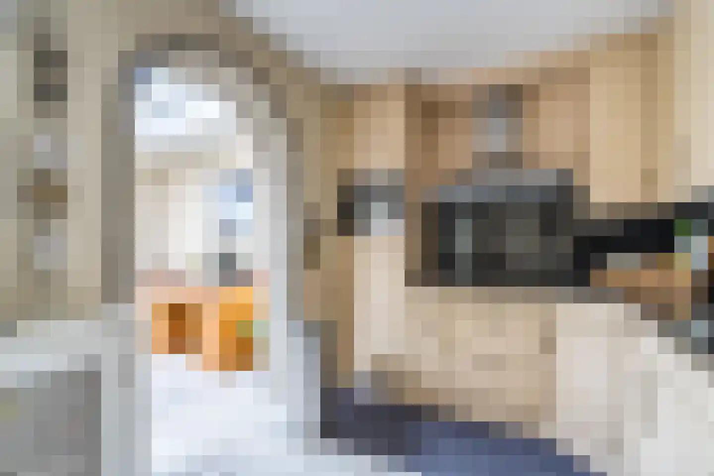 Houtsnip 12 Weert thumbnail 13