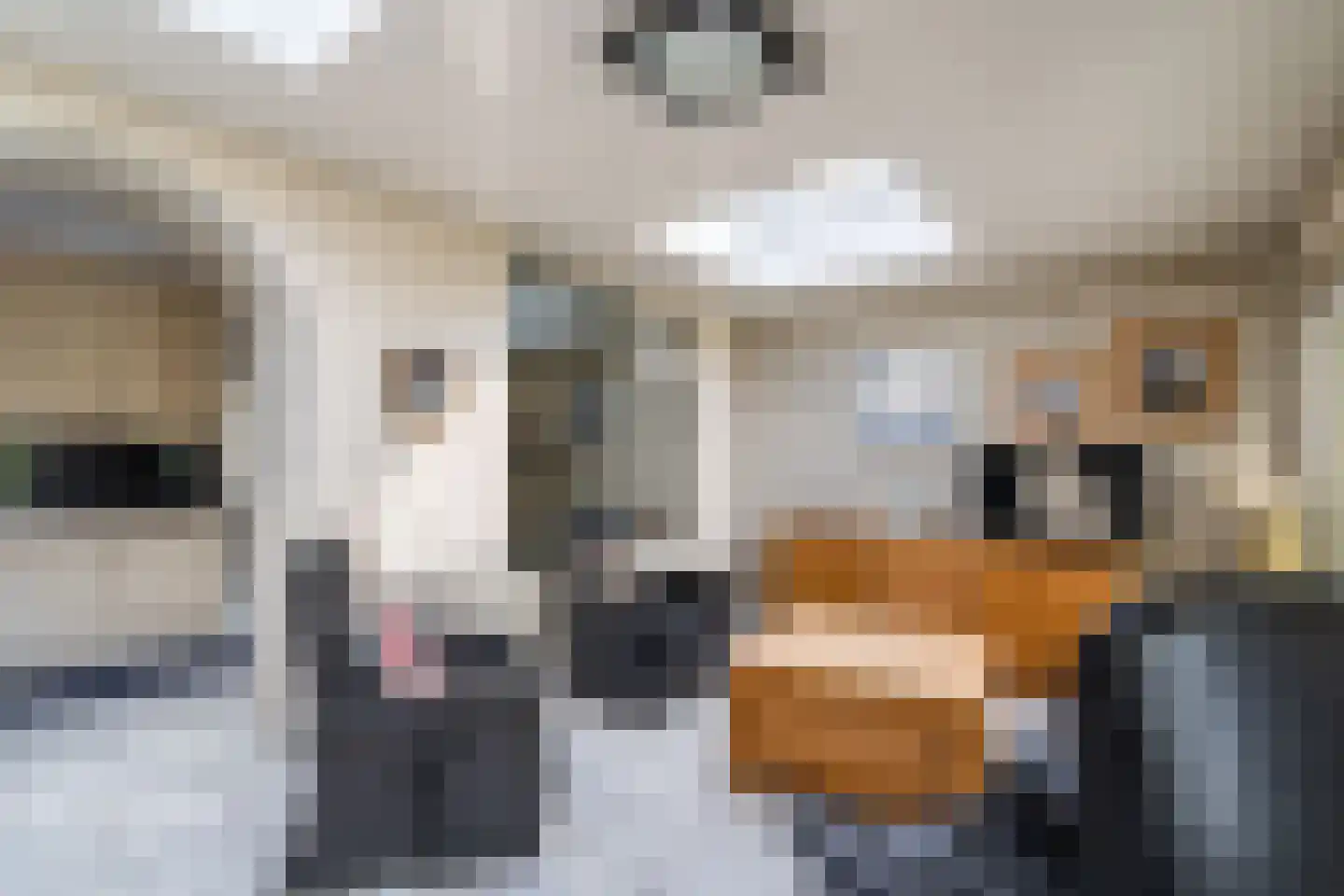Houtsnip 12 Weert thumbnail 16