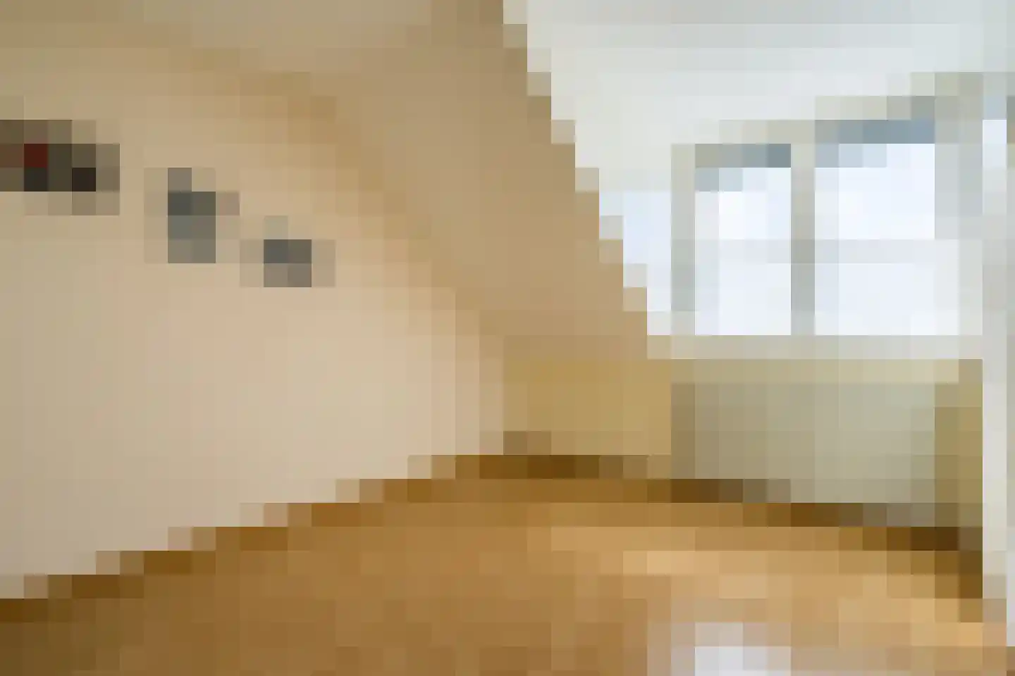 Houtsnip 12 Weert thumbnail 31