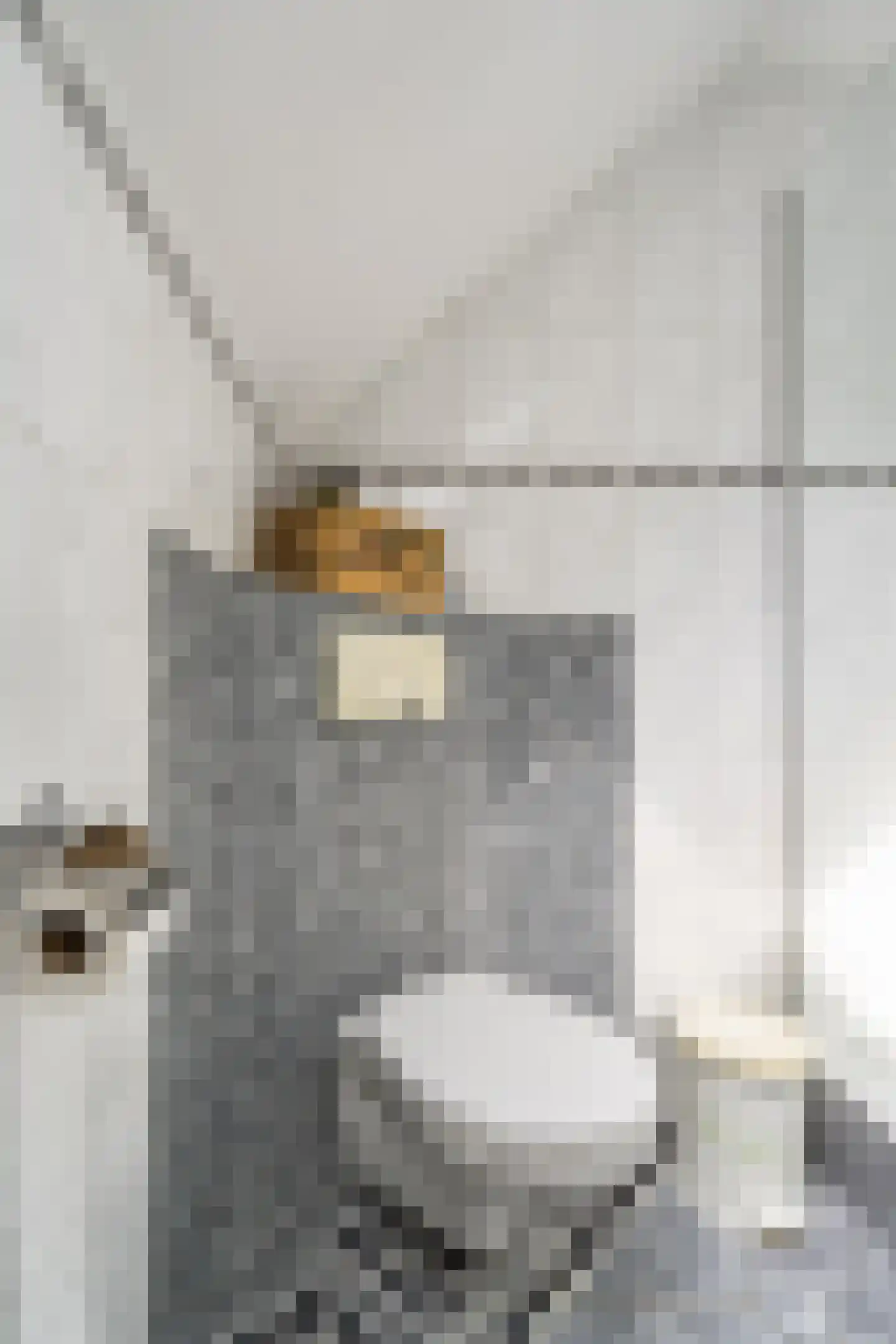 Houtsnip 12 Weert thumbnail 37