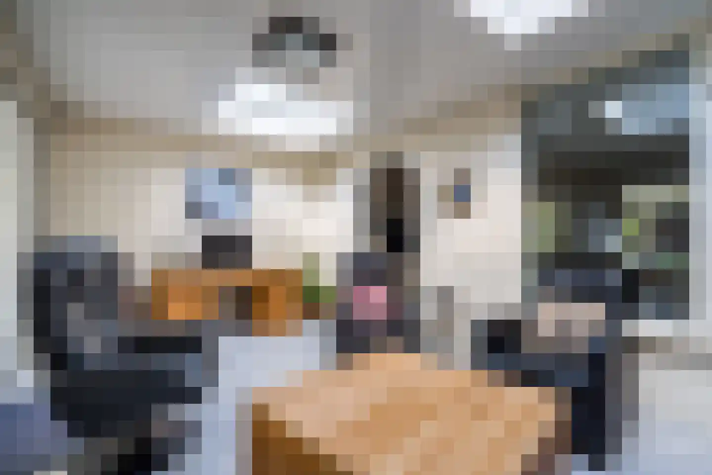 Houtsnip 12 Weert thumbnail 5
