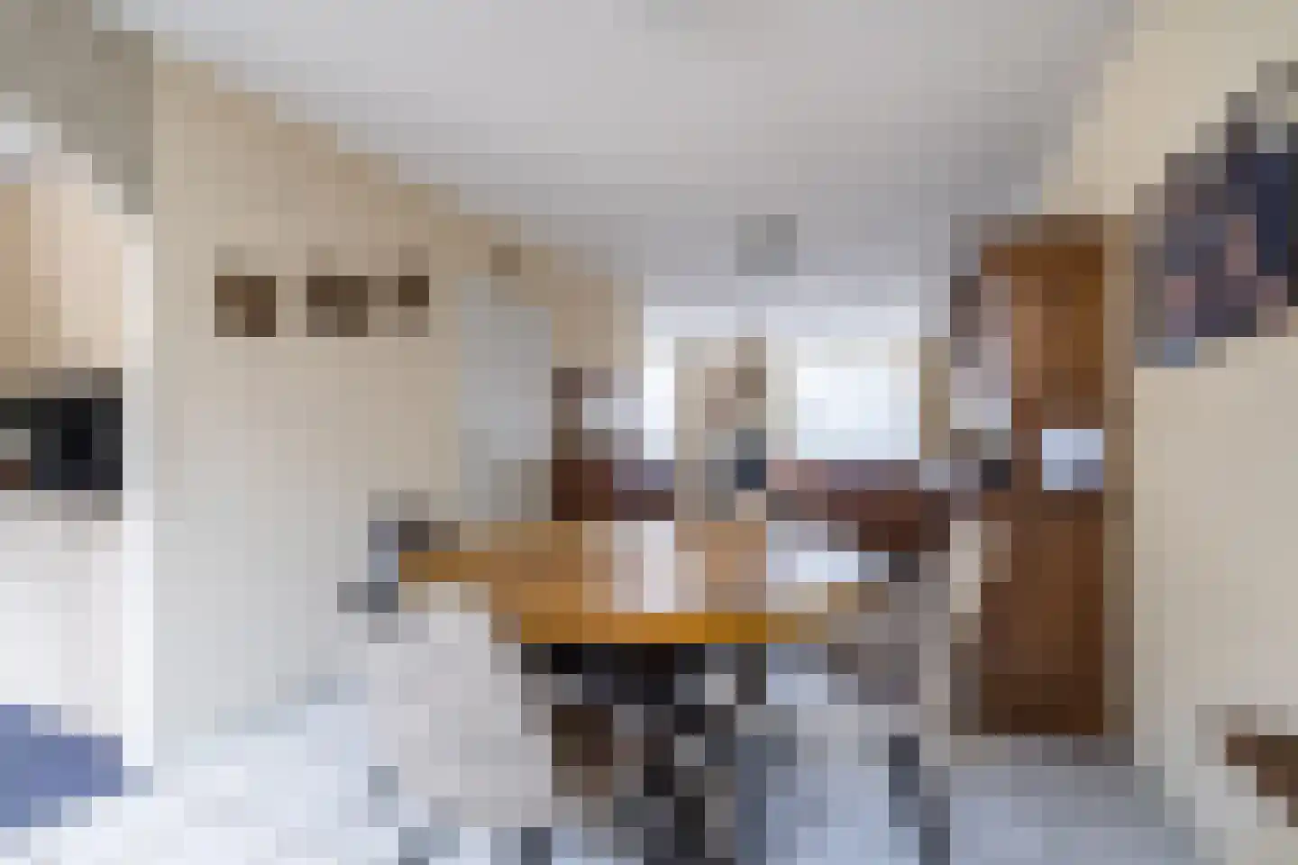 Houtsnip 12 Weert thumbnail 6