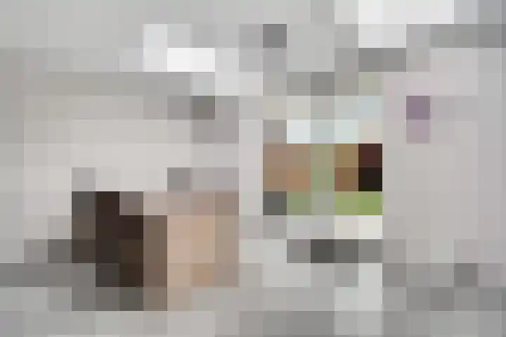 Houtsnip 13 Weert thumbnail 18
