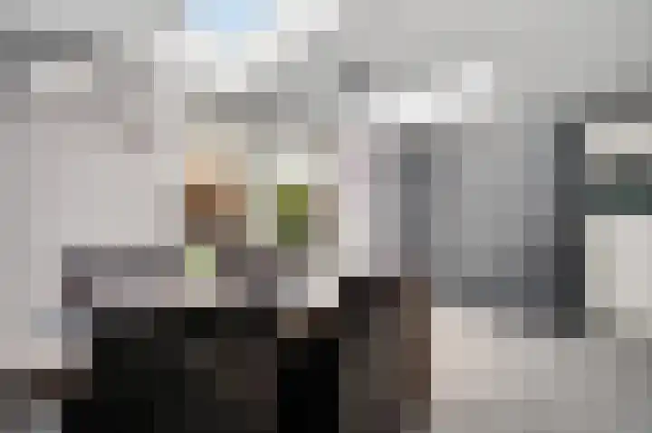 Houtsnip 13 Weert thumbnail 19