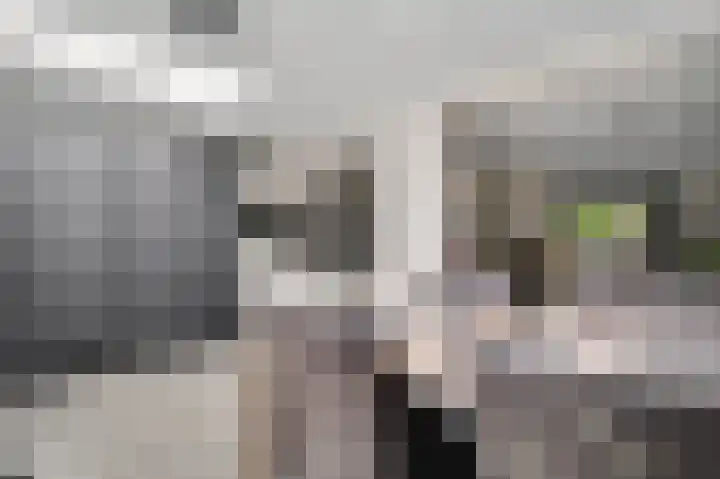 Houtsnip 13 Weert thumbnail 20