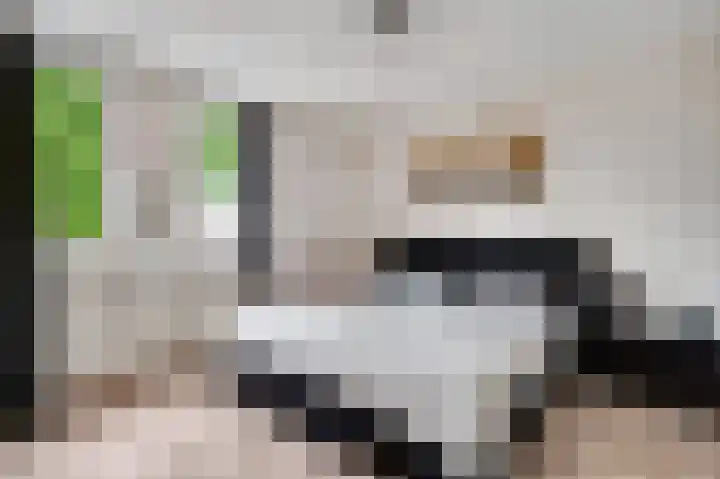 Houtsnip 13 Weert thumbnail 23