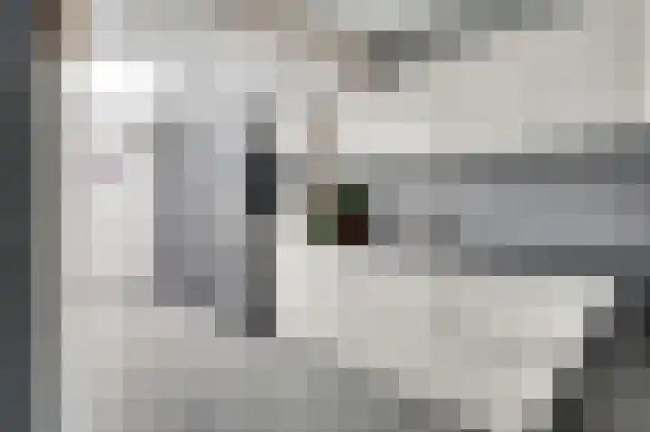 Houtsnip 13 Weert thumbnail 4