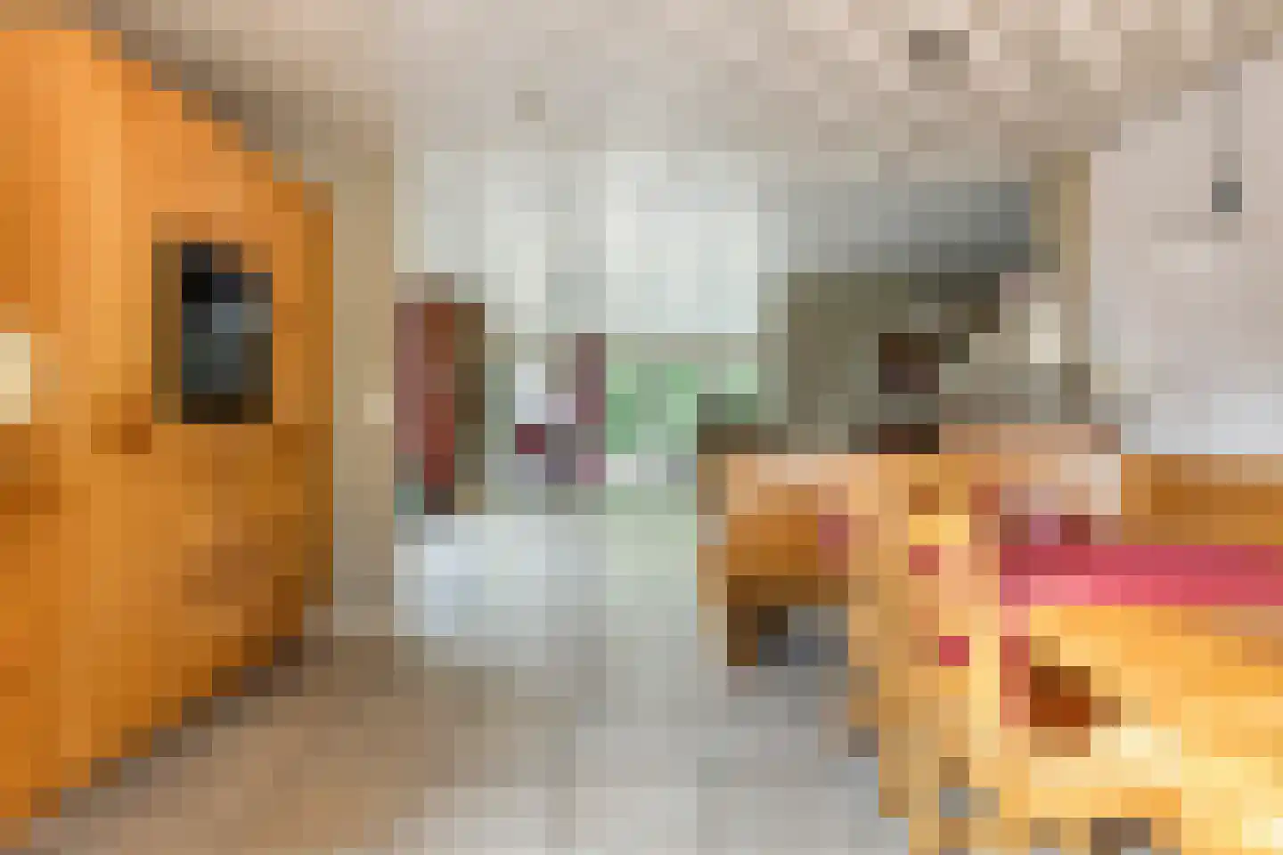 Houtsnip 14 Obdam thumbnail 16