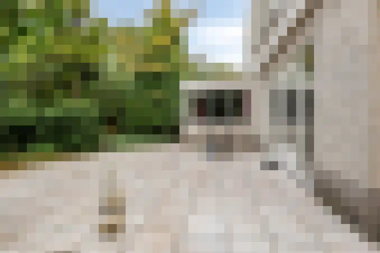 Houtsnip 14 Obdam thumbnail 20